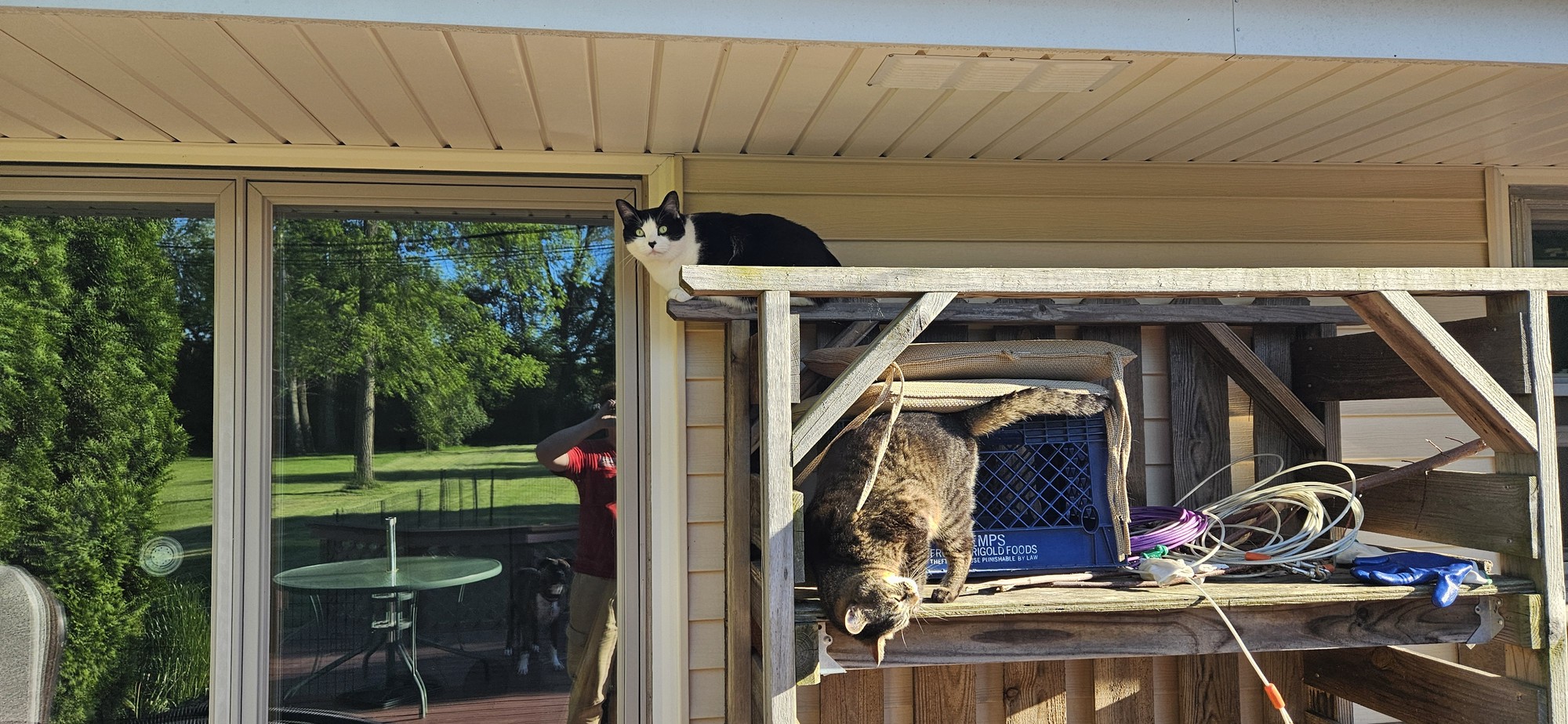 Professional window cleaning service Franklin Wisconsin