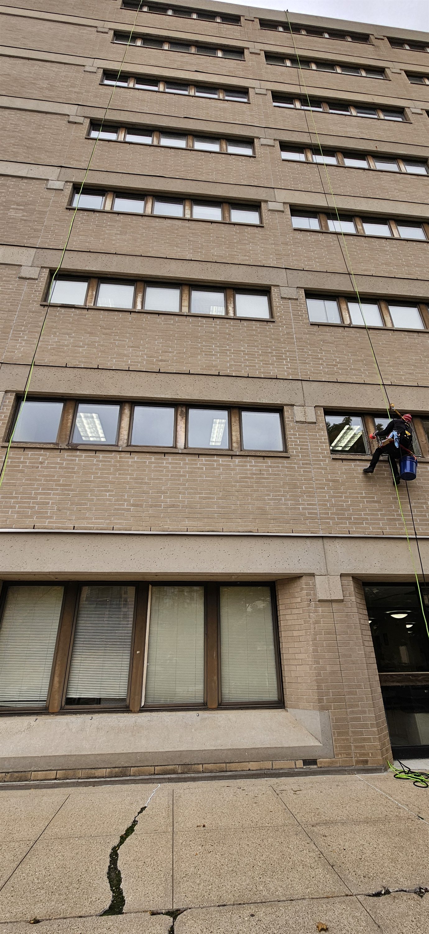 Window cleaning technician on the job