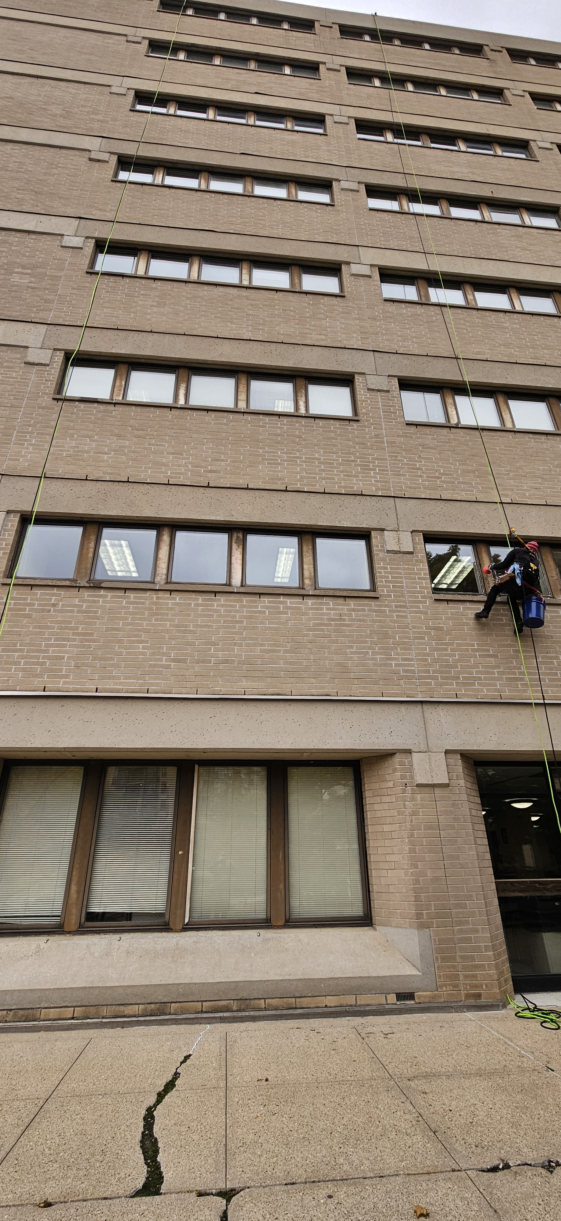 Window cleaning technician on the job