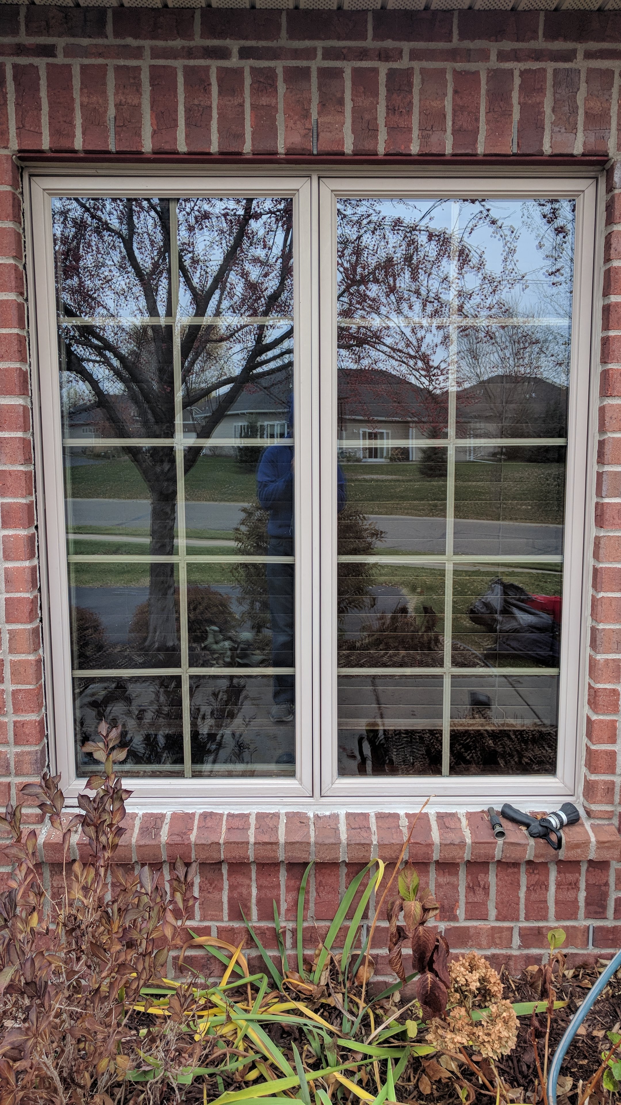 Early window cleaning project